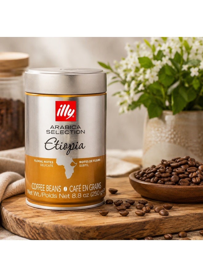 Illy Coffee Beans Etiopia 250gm - Image 2