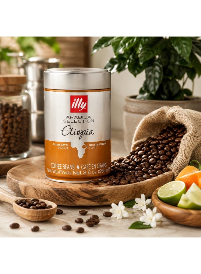 Illy Coffee Beans Etiopia 250gm - Image 4