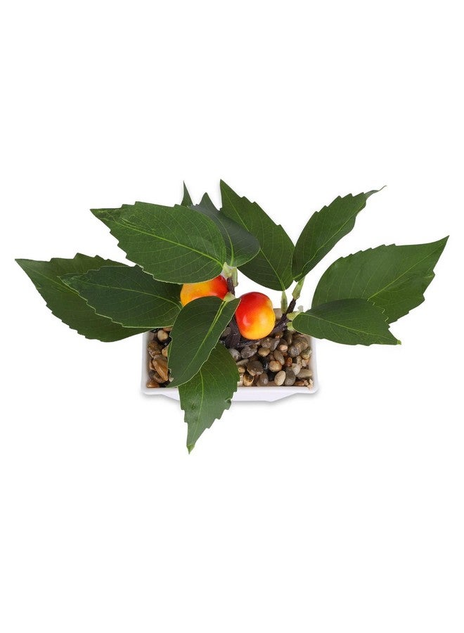 هارتس نباتات صناعية لديكور المنزل|نباتات صناعية داخلية ذات مظهر طبيعي مع أصيص|زهور صناعية للزينة (برتقالي) - Image 4