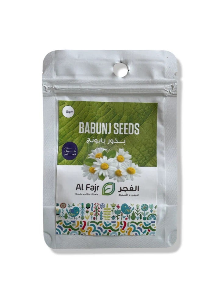 جرو بذور كاموميل - Image 2