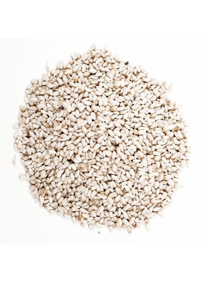 Wagner's 57075 Safflower Seed Wild Bird Food, 5 Pound (Pack of 1) - Image 4