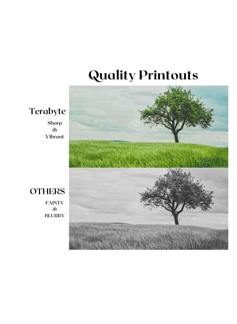 Terabyte 4590 COMPATIBLE TONER TERABYTE - Image 2