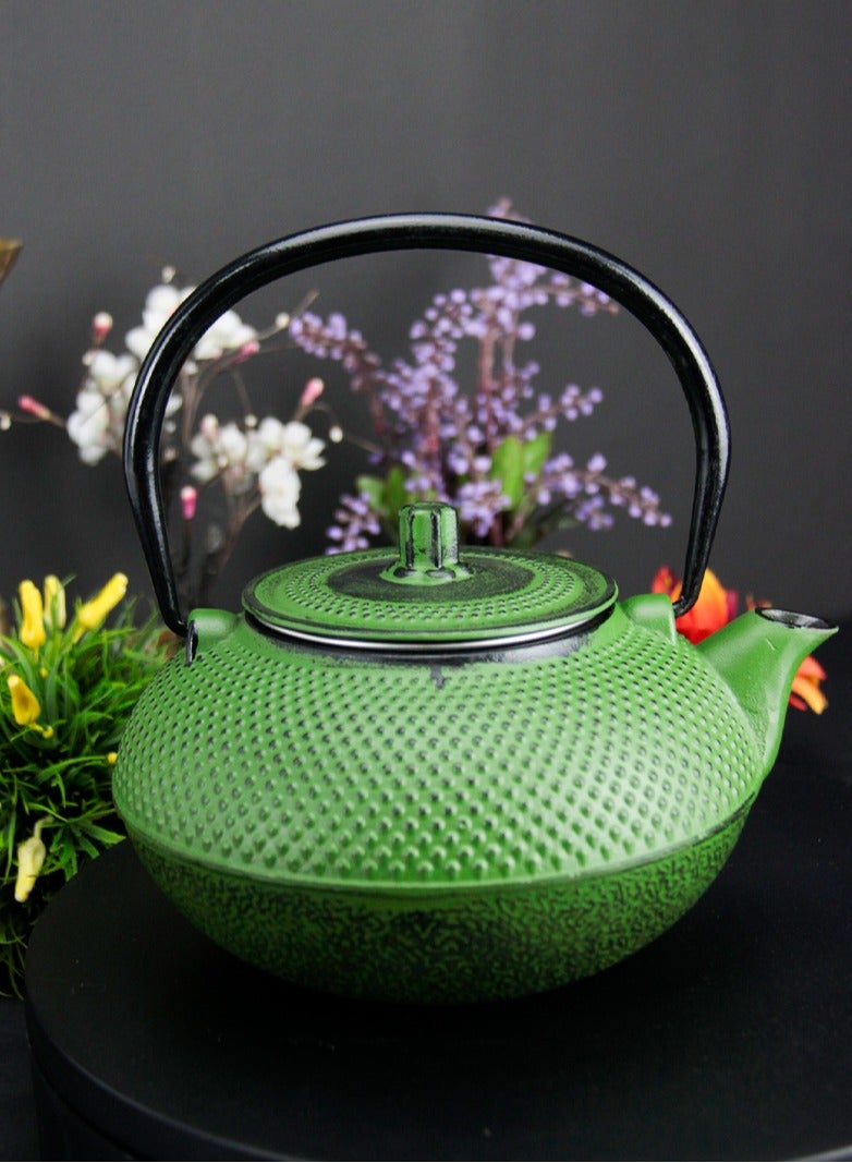 Tealand Durable Coated with Enamel Interior Cast Iron Teapot with Stainless Steel Infuser for Brewing Loose Tea Leaf 1.4 Green - Image 3