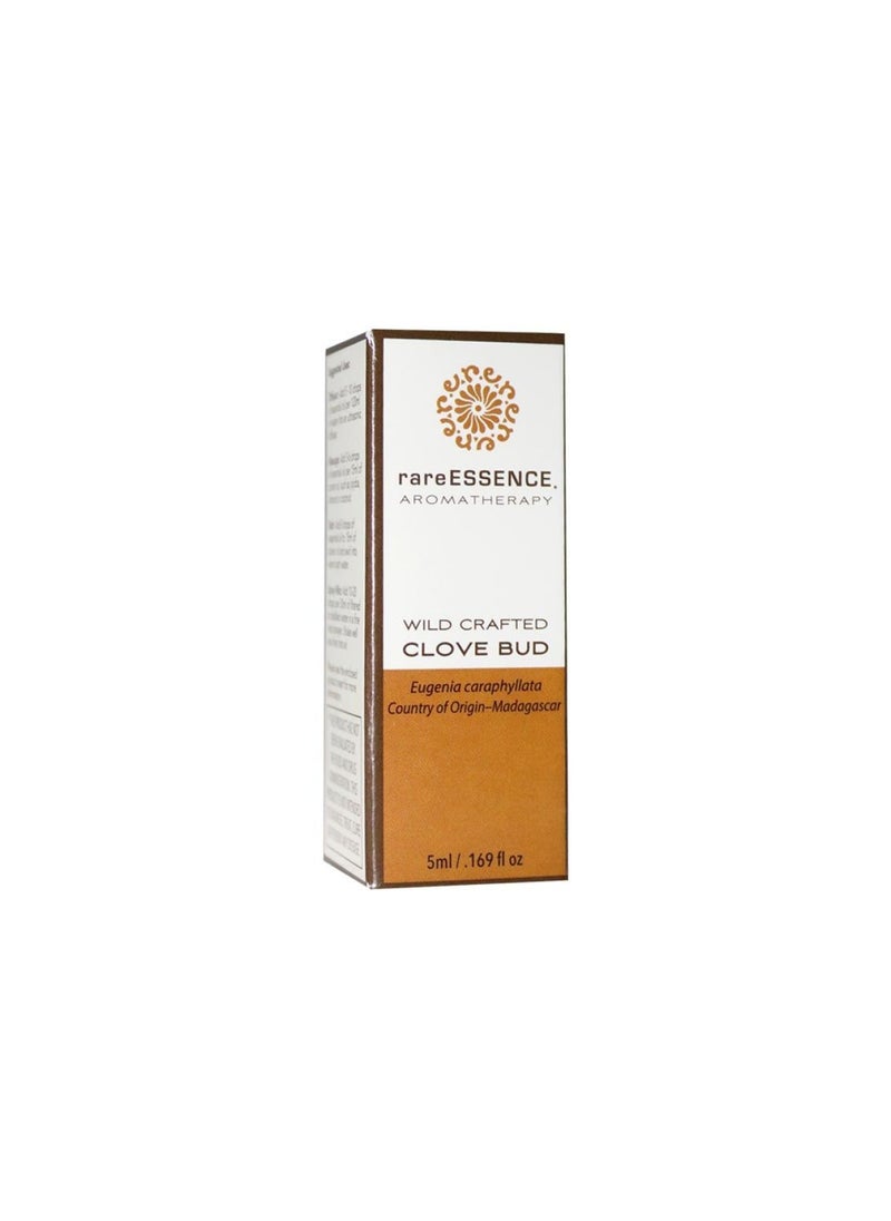 Essence Essence Clove Bud Essential Oil 5 Ml 70041  - Image 1