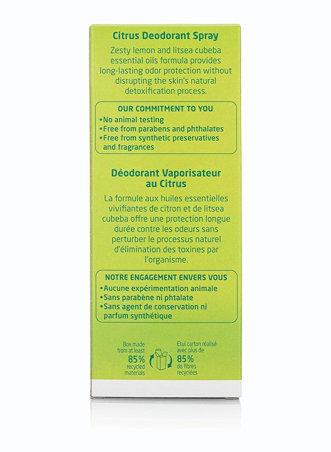Weleda Citrus Deodorant Spray (100 ml) – Natural 24-Hour Deodorant for Long-Lasting Freshness, with Lemon Essential Oil, Aluminum Salt-Free - Image 4