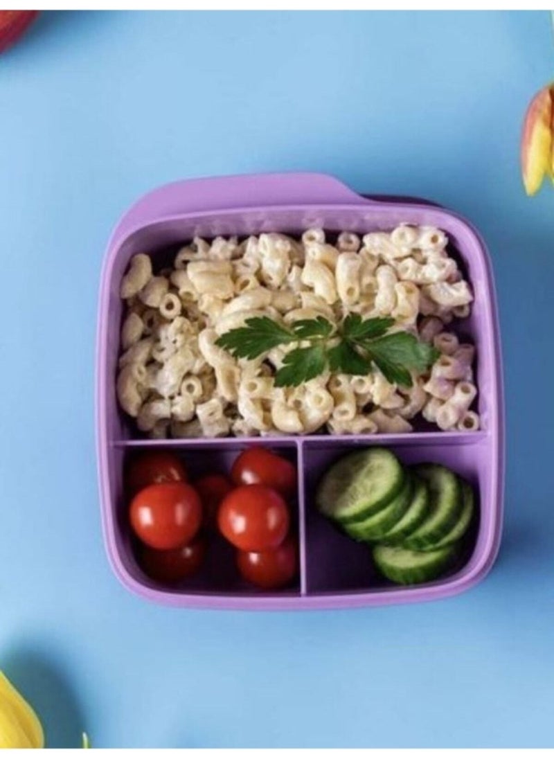 Tupperware - Lunch Box with Compartments Set of 2 - Image 1