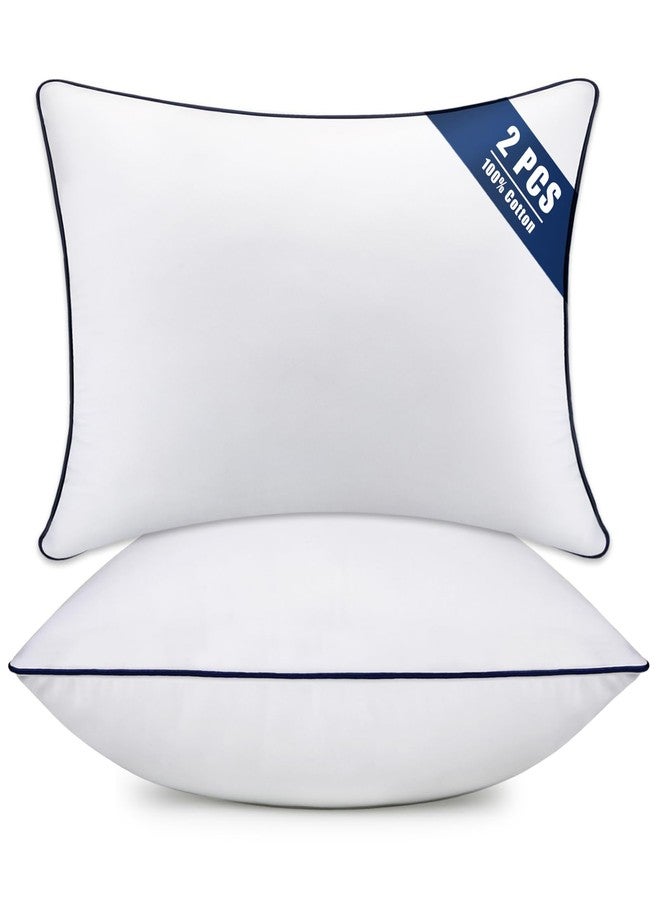 OKBA Throw Pillow Inserts Set of 2-Fluffy Square Cushions with 100% Cotton Covers-Decorative White Pillow Fillers for Sofa, Bed, Couch, Living Room, Indoor Hotel Pillows (12x20 Inch (Pack of 2)-Blue Edge) - Image 1