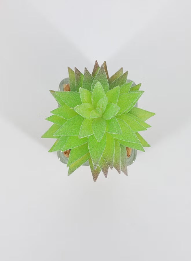 Rahalife Artificial Succulent Bonsai – Realistic Decorative Plant Pack of 2 - Image 2