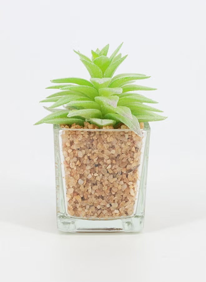 Rahalife Artificial Succulent Bonsai – Realistic Decorative Plant Pack of 2 - Image 1
