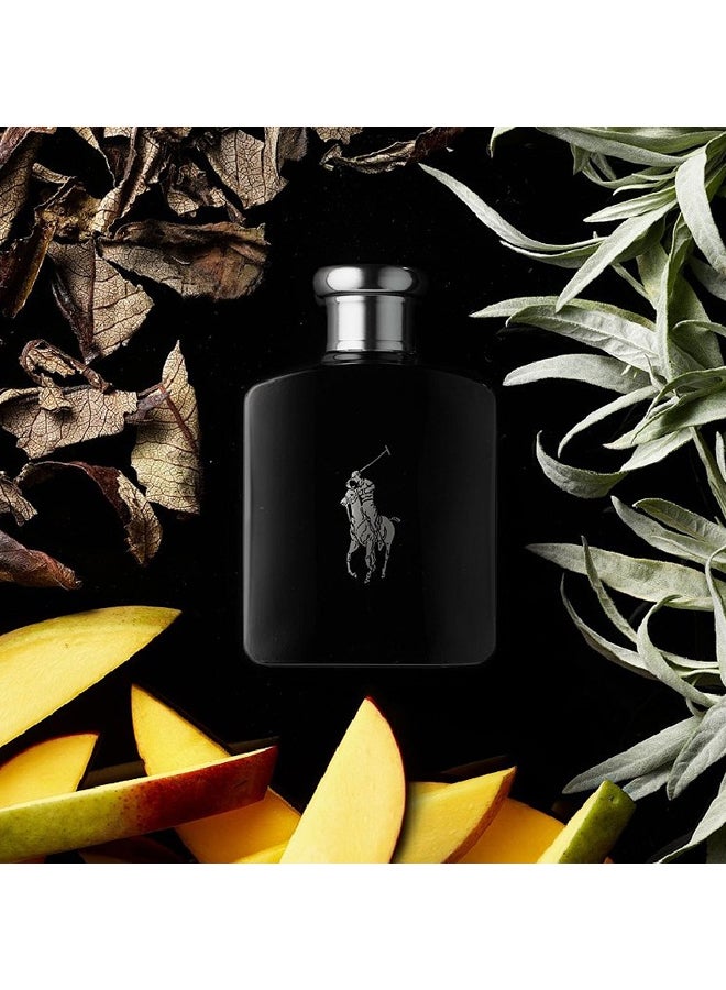 رالف لورين عطر بولو بلاك 125ملليلتر - Image 5