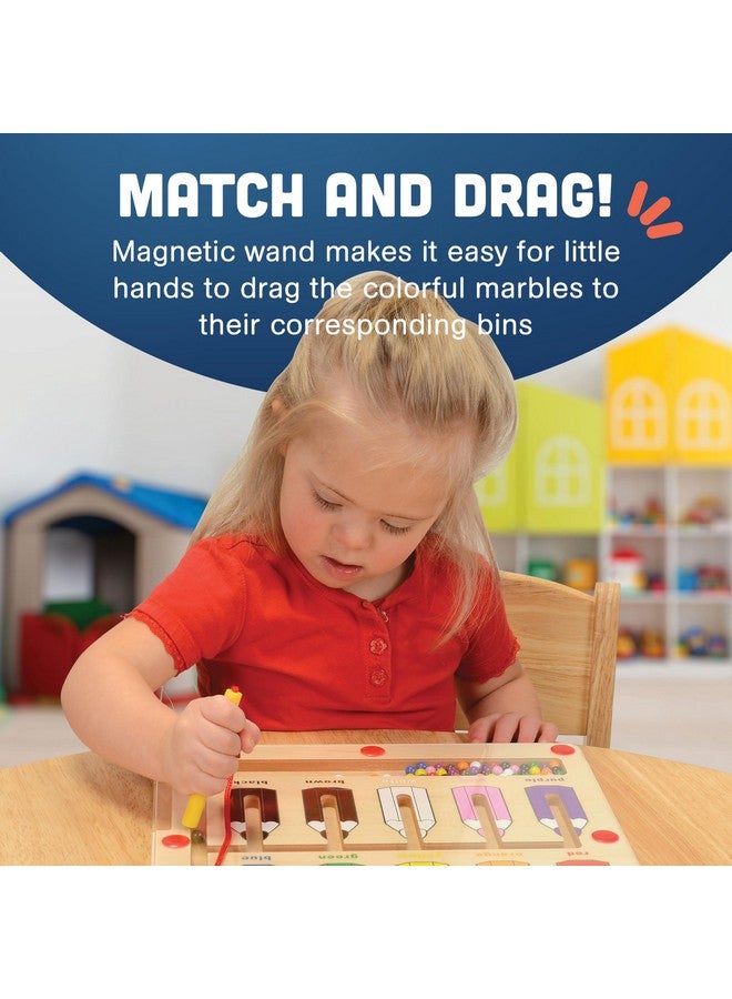 كونستراكتيف بلاي ثينجز لعبة مطابقة الألوان مع ألعاب مغناطيسية للأطفال من سن 3 سنوات فما فوق، لعبة فرز الألوان المغناطيسية الخشبية والعد للأطفال من مونتيسوري التعليمية - Image 4