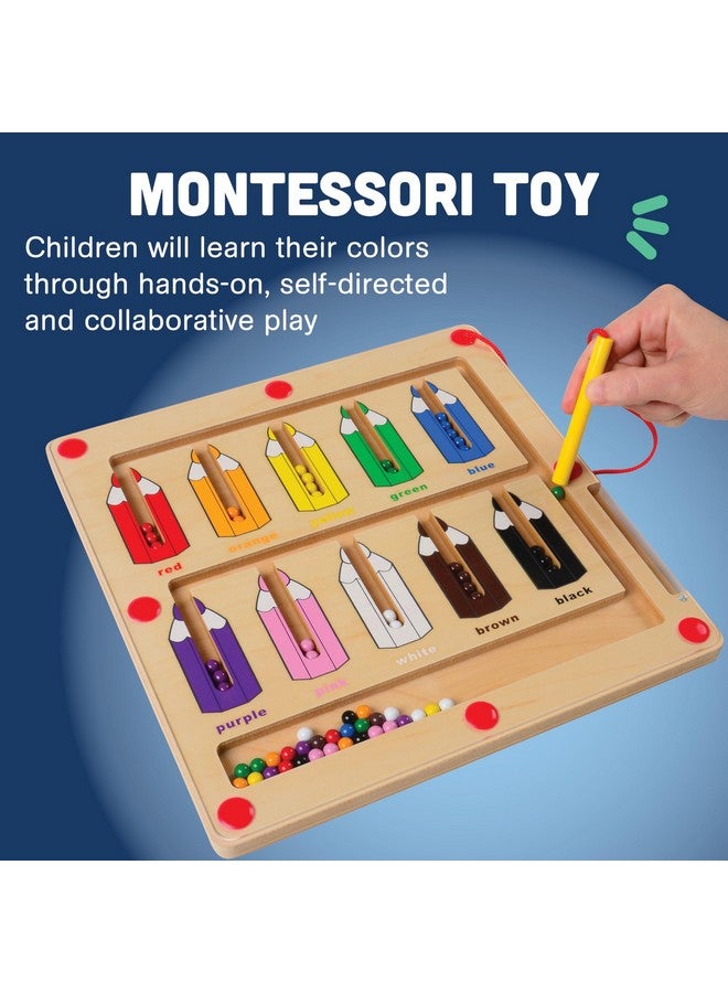 كونستراكتيف بلاي ثينجز لعبة مطابقة الألوان مع ألعاب مغناطيسية للأطفال من سن 3 سنوات فما فوق، لعبة فرز الألوان المغناطيسية الخشبية والعد للأطفال من مونتيسوري التعليمية - Image 5