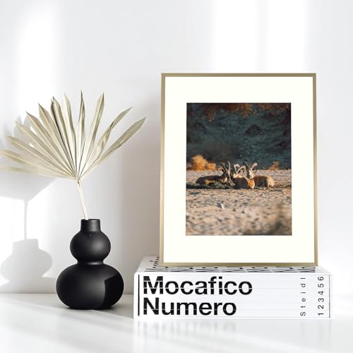Frametory, 12x16 Aluminum Picture Frame - 12 x 16 Gold Frame with Removable Mat for 8.5 x 11 Photo - 16 by 12 Durable Metal Frame with Real Glass - Sawtooth Hanger for Easy Wall Display - 1 Pack - Image 2