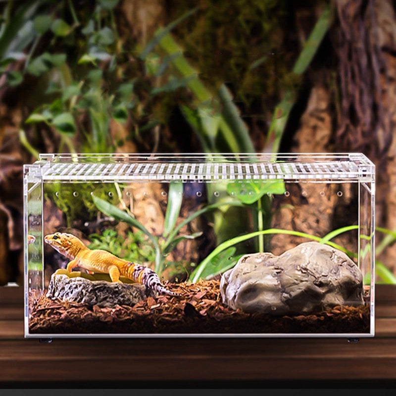 Transparent Acrylic Reptile Terrarium Ventilation Box For Chameleon Lizard Frog Habitat - Image 3