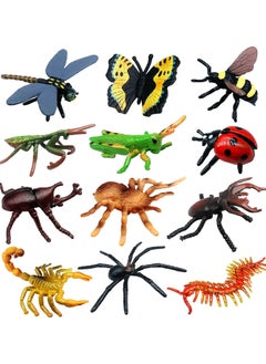 12 PCS Insect Animal Model