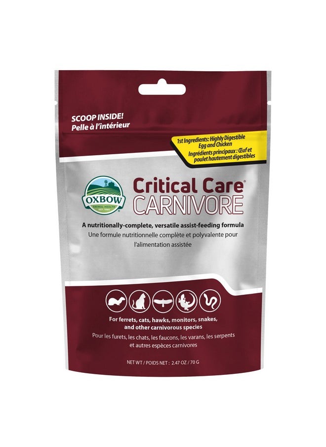 Oxbow Animal Health Critical Care, Carnivore, 70 Gram Bag  - Image 1