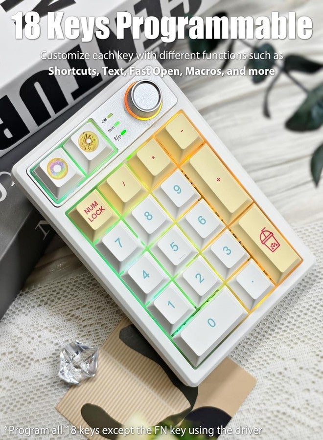TISHLED Gasket Creamy Mechanical Numpad Programmable Macro Keypad Wireless 2.4G/Bluetooth 5.0/Wired USB-C RGB Backlit Hot Swappable Number Pad Rechargeable Numeric Keyboard Metal Knob, Donut - Image 4