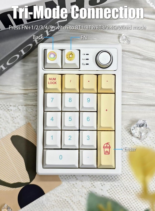 TISHLED Gasket Creamy Mechanical Numpad Programmable Macro Keypad Wireless 2.4G/Bluetooth 5.0/Wired USB-C RGB Backlit Hot Swappable Number Pad Rechargeable Numeric Keyboard Metal Knob, Donut - Image 2