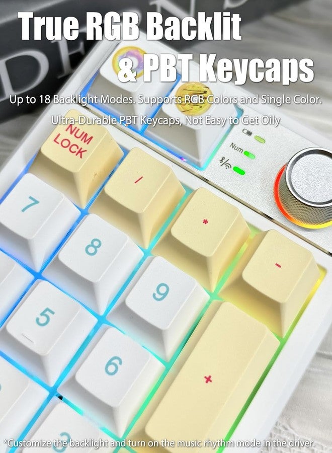 TISHLED Gasket Creamy Mechanical Numpad Programmable Macro Keypad Wireless 2.4G/Bluetooth 5.0/Wired USB-C RGB Backlit Hot Swappable Number Pad Rechargeable Numeric Keyboard Metal Knob, Donut - Image 5