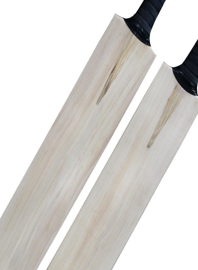 Zhoosh Wood Champions Choice Grade1 Kashmiri Willow Bat For Leather Balls(Life Time Replacement If Bat Breaks Into 2 Halves While Playing) - Image 2