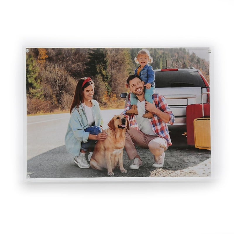 TRIXES A4 Acrylic Photo Frame  Magnetic MultiPurpose Glass Effect Picture Frame Perfect to Display on Your Desk or Stand on Your Sideboard or Rest on the Wall Shelf  210 x 297mm