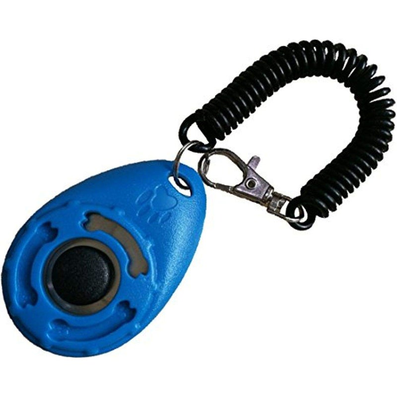 Sage Square جهاز تدريب الحيوانات الأليفة مع حزام للمعصم وخطاف للحزام للطيور/الببغاوات/الكوكاتيل/البادجي/الببغاء الأفريقي/الكوكاتو (عشوائي) - Image 5