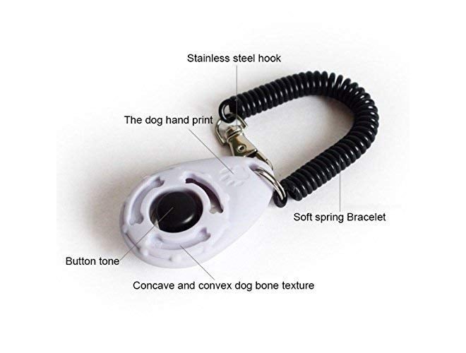 Sage Square جهاز تدريب الحيوانات الأليفة مع حزام للمعصم وخطاف للحزام للطيور/الببغاوات/الكوكاتيل/البادجي/الببغاء الأفريقي/الكوكاتو (عشوائي) - Image 3