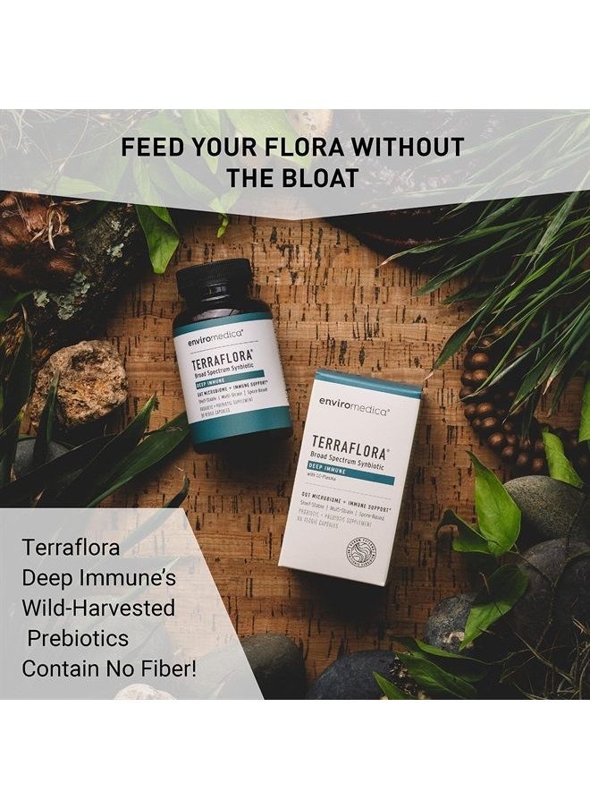 Terraflora Deep Immune SBO Probiotic + Prebiotic Supplement - a Soil Based Shelf Stable Bacillus Spore Form Synbiotic with LC-Plasma – a Powerful Immune Booster (60ct)
