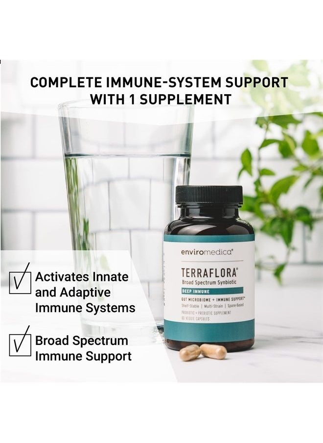 Terraflora Deep Immune SBO Probiotic + Prebiotic Supplement - a Soil Based Shelf Stable Bacillus Spore Form Synbiotic with LC-Plasma – a Powerful Immune Booster (60ct)