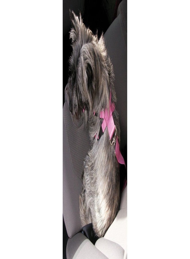(Classic) Soft Protection Car Harness (Medium) (Pink)