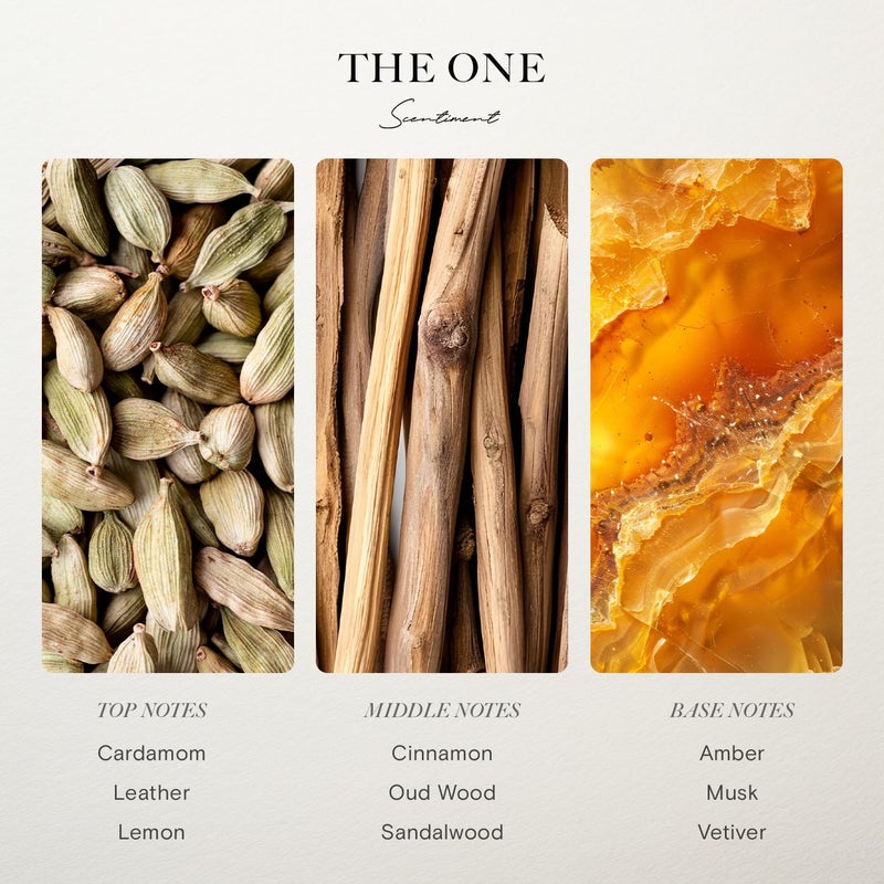 Scentiment Hotel Diffuser Oil | Aromatherapy Fragrances Inspired by 5-Star Hotels | Luxurious Scents with Notes of Cardamom, Tuscan Leather, and Sandalwood (20ml, Top 3 Scents) - Image 3