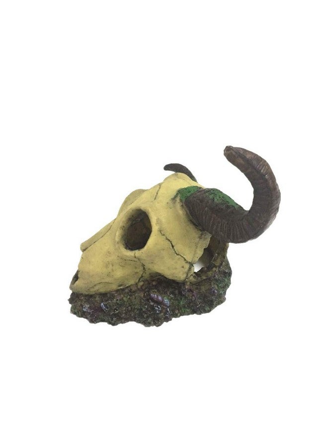 Leoyoubei Leoyoubei 6 x 7.5 inch Aquarium Decoration Fish Tank Décor Ornaments Fish Turtle Hidden,Amphibians Bonsai Beautification Cave Landscape Pet Reptile House Sheep Skull Light Brown - Image 5