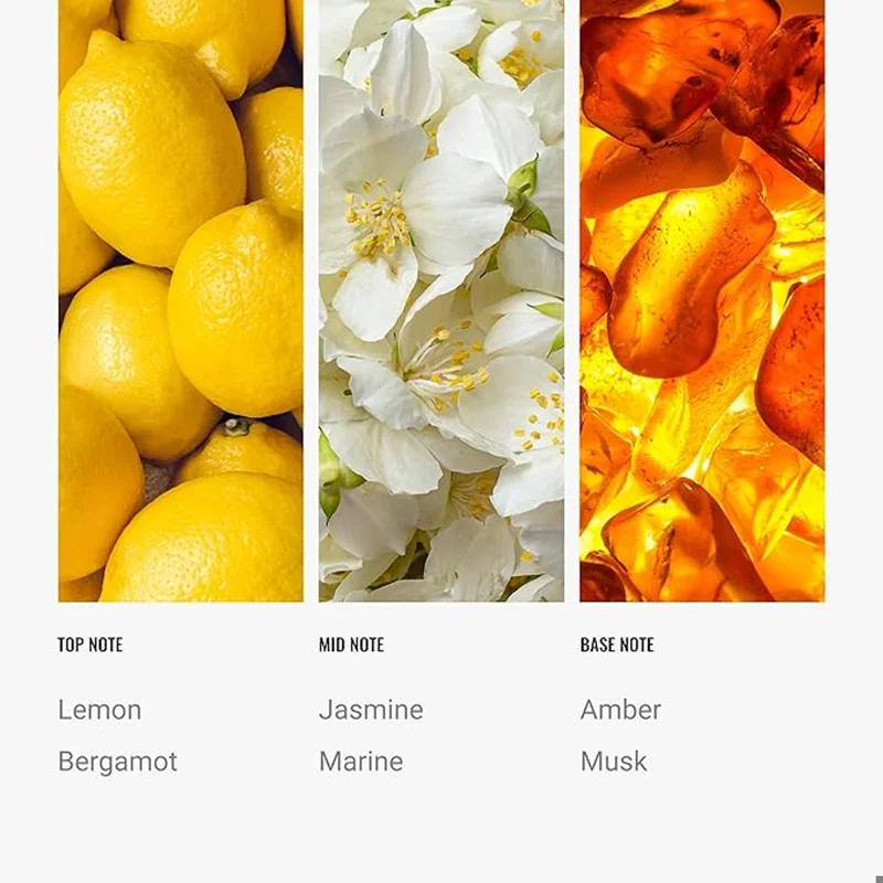 Hotel Collection  Cabana Fragrance Oil Blend - Hotel Inspired for Luxury Essential Oil Diffusers - Aromatherapy Scent Diffuser Oil - Marine, Bergamot, and Jasmine - 50 mL, 1.7 fl oz  | Best Price UAE