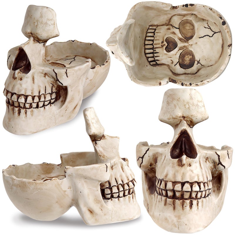 READAEER Skull Glasses Stand Holder, Creative Eyeglasses Holder, Sunglasses Spectacle Display Rack, Key Holder Resin Sculptures for Entryway, Home, Office, Desk, Nightstand (White) - Image 4