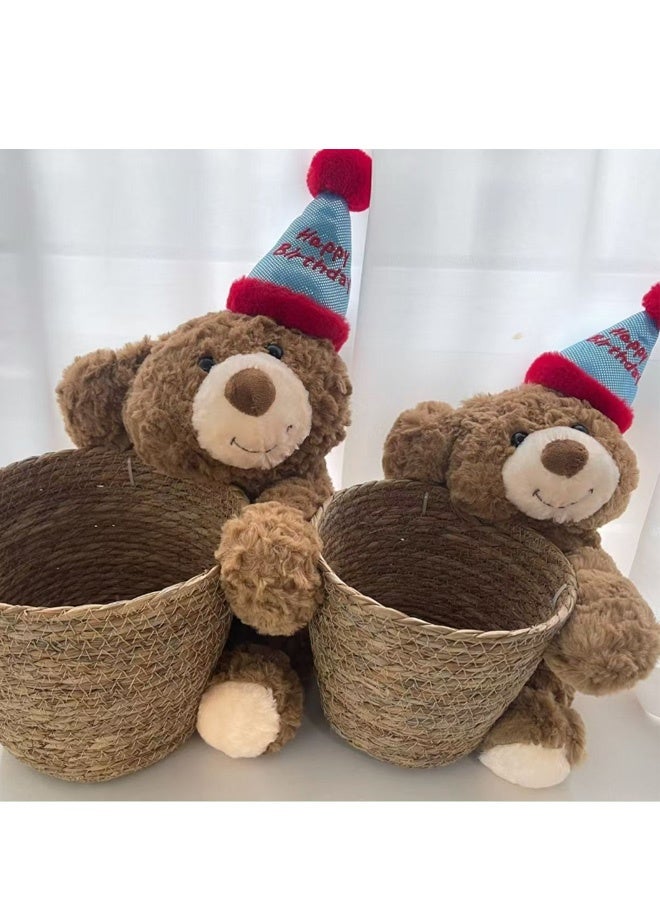 GMORO Grass Flower Basket Indoor Woven Flower Pot Flower Pot Flower Pot Decoration Laundry Basket Household Flower Pot Leak Proof Plastic Liner Indoor and Outdoor Garden Decoration - Image 3