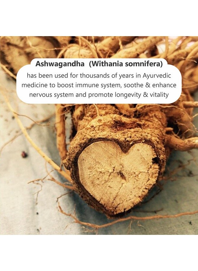 Herb Essential مسحوق أشواغاندا النقي الأساسي - 50 جرام - Image 2