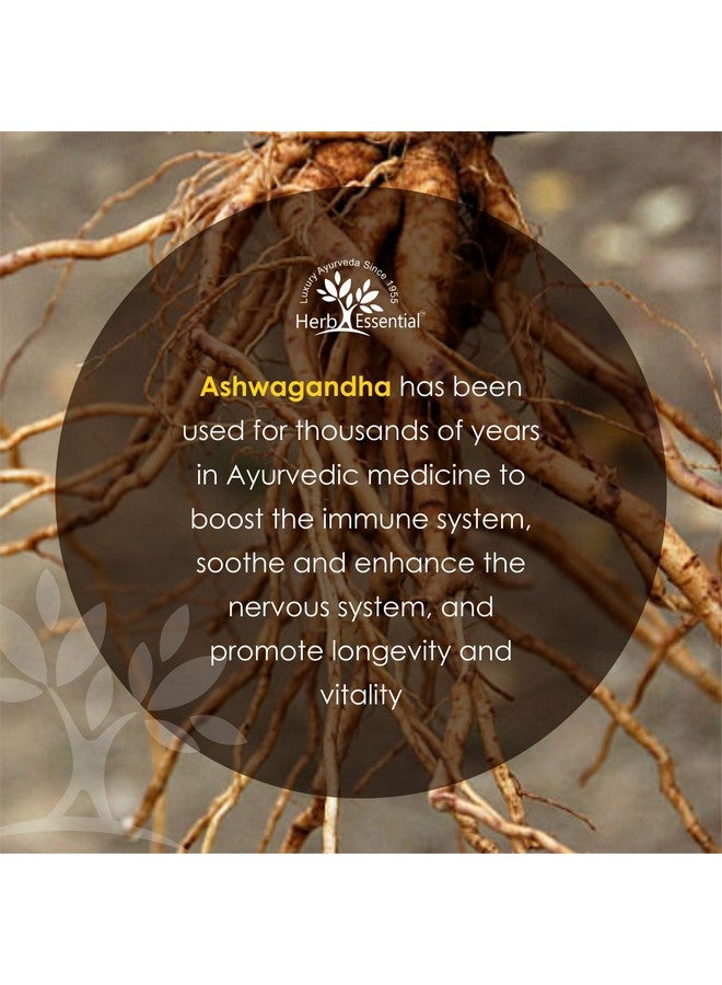 Herb Essential مسحوق أشواغاندا النقي الأساسي - 50 جرام - Image 3