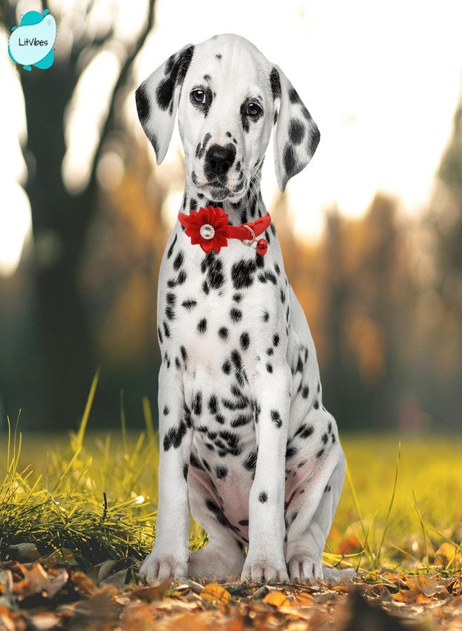 LitVibes Cat Collar Breakaway With Bell,Kitten & Small Dogs Soft Adjustable Collar Safe,Solid & Protection For Cats & Puppies,Cute Kitty Neckband With Flower Design-Red,?14 cm,W_2 cm - Image 3