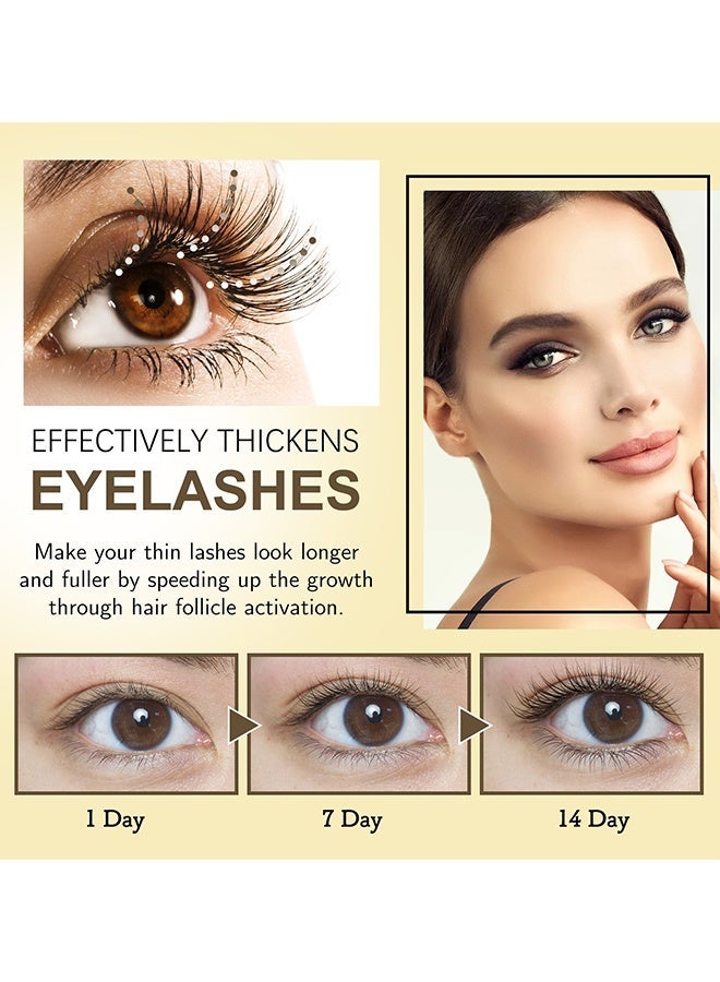 EELHOE Lash & Brow Intense Regeneration Serum, Lash Serum For Eyelash Growth, Eyelashes Enhancer Liquid, Organic Castor Oil With Brush, Advanced Formula For Longer Fuller Thicker Eyelashes And Eyebrows, Perfect For Natural Growth Boost, 20ML - Image 4