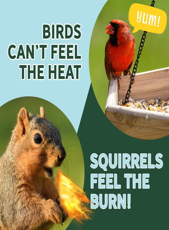 Uncle Dunkels Spicy Hot Pepper Squirrel Deterrent (16 fl Oz) – All-Natural, Food-Grade Hot Pepper Bird Seed Coating, Repels Squirrels, Safe for Birds, Made in USA - Image 3