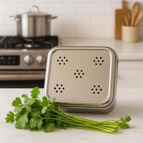 DiBha Stainless Steel Rectangle Shape Box for Kothmir/Dhaniya/Coriander Multipurpose Dabba Storage Box for Kitchen, Color - Silver Set of 1 (Capacity - 500ml) - Image 2