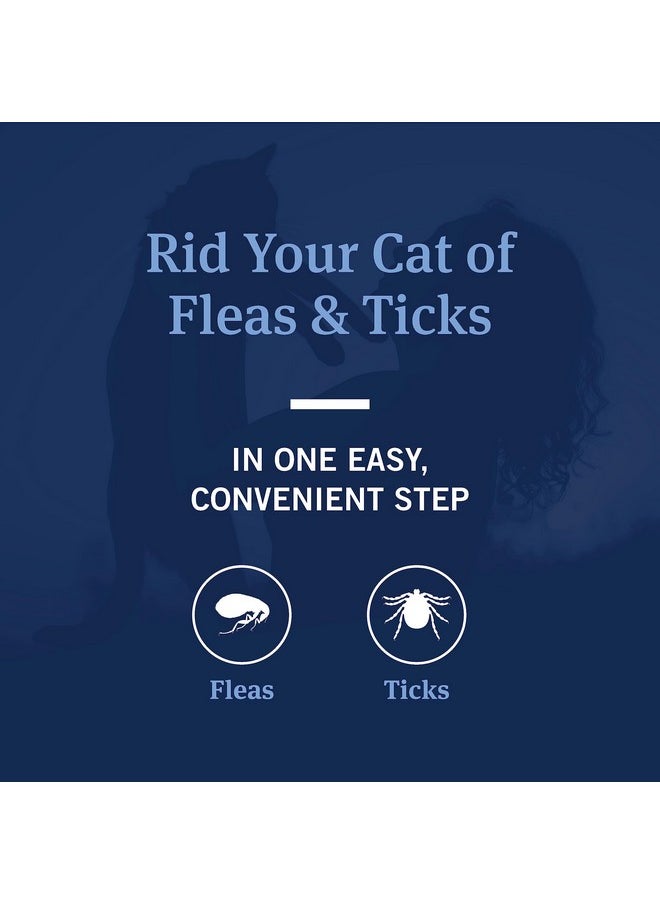 PetArmor PetArmor Flea and Tick Shampoo for Cats, Coconut Berry Scented Flea Shampoo and Conditioner for Cats, Flea Treatment Kills Fleas and Ticks, 12oz  - Image 2