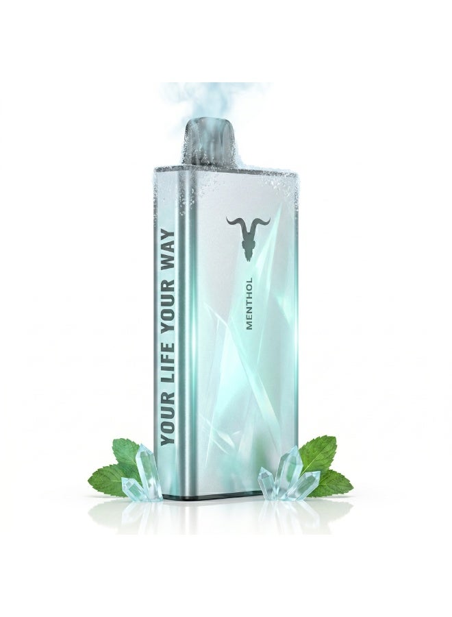 Menthol 40000 Puffs 5mg Nicotine Rechargeable Disposable Vape