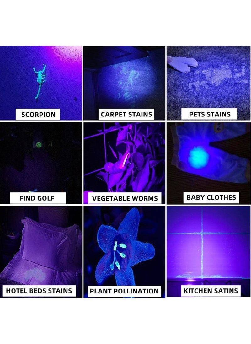 Generic - 60W High Power UV Flashlight Blacklight Cat Dog Urine Stain Tinea Ore Money Scorpion Marker Rechargeable Ultraviolet torch lamp - Image 1