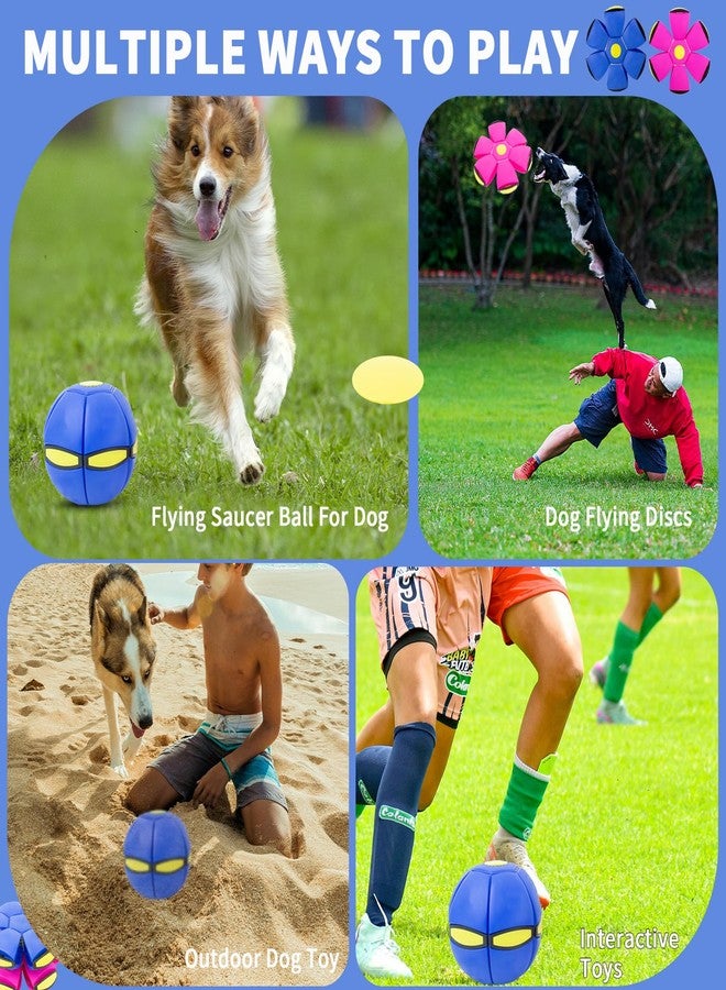 OOXYG Flying Saucer Ball - 2 Pack Dog Disc Toy for Medium Large Dogs, Outdoor Interactive Pet Toy - Blue+Pink - Image 3