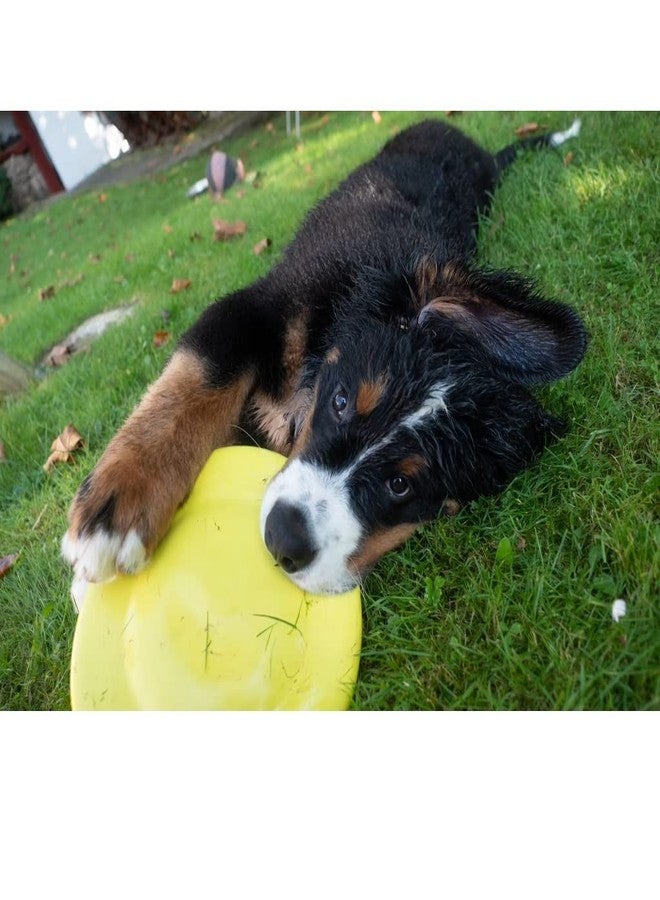 Decathlon Frisbee Flying Unbreakable disc for Dogs Played Indoor/Outdoor, Beaches,Playground (Dogs' Disk - Yellow) - Image 2
