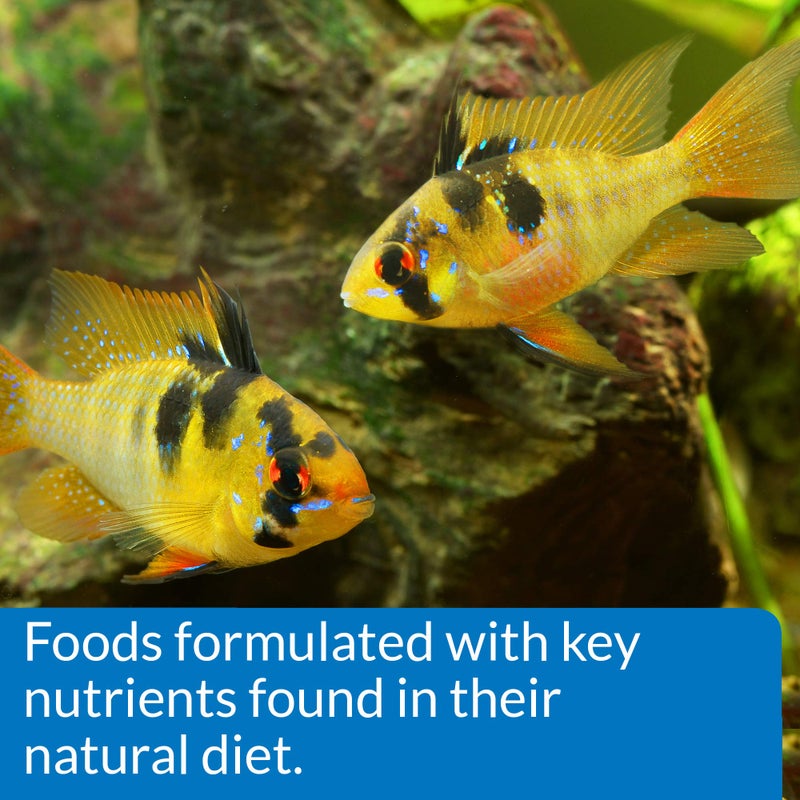 API CICHLID PELLETS Floating Pellets Fish Food 4.2-Ounce Container - Image 5