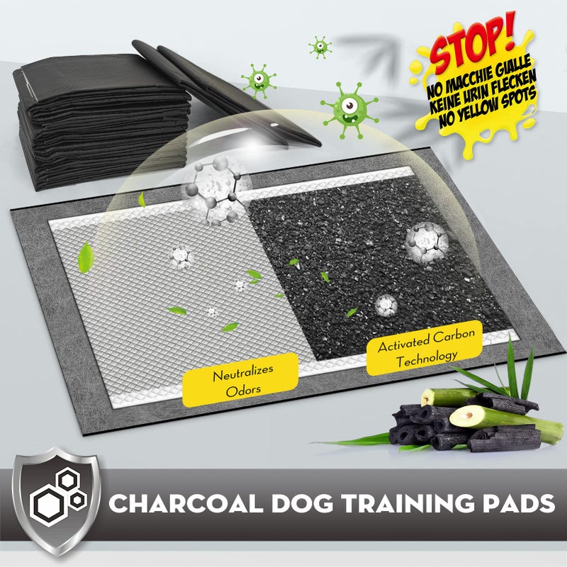 CROCI Pee Pads for Dogs XXL 30x36in, Charcoal Pet Pee Pads Odor-Control & Super Absorbent Up to 10 Cups, 6-Layer Quick Dry & Leak-Proof with Adhesive Tabs, Disposable (35 Counts) - Image 3