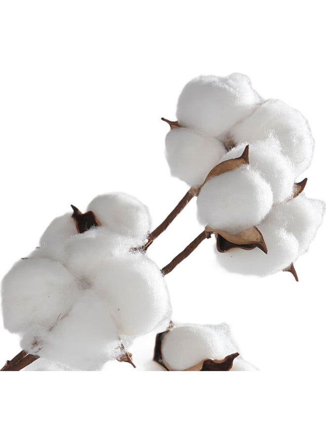 FIRS تي شيرت قطن 100% للرجال، بأكمام طويلة، ربيع وخريف، كاجوال عملي، لون موحد، أسلوب تنقل، ياقة قابلة للطي، قميص داخلي مطرز ناعم - Image 2