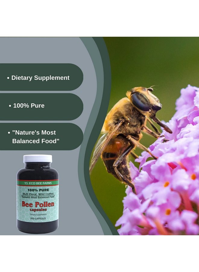 Worldwide Nutrition - Y.S. Eco Bee Farms 100% Pure Wild Crafted Bee Pollen Capsules Organic Bee Pollen Vitamin Supplements Amino Acids Organic Protein Vitamin C Vitamin B12 Gluten Free 2Pk Of 200Ct W Bonus Key Chain - Image 1